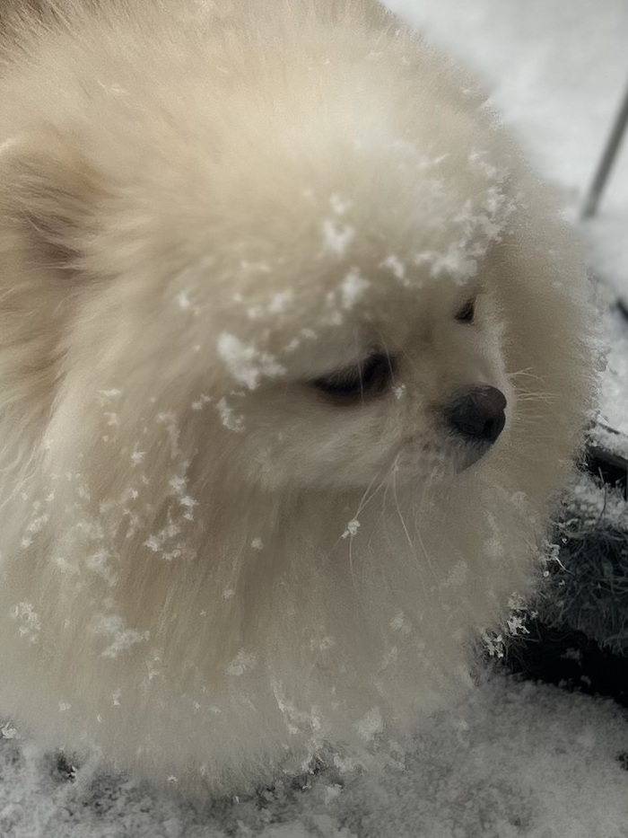 ���� ����� �������� �������