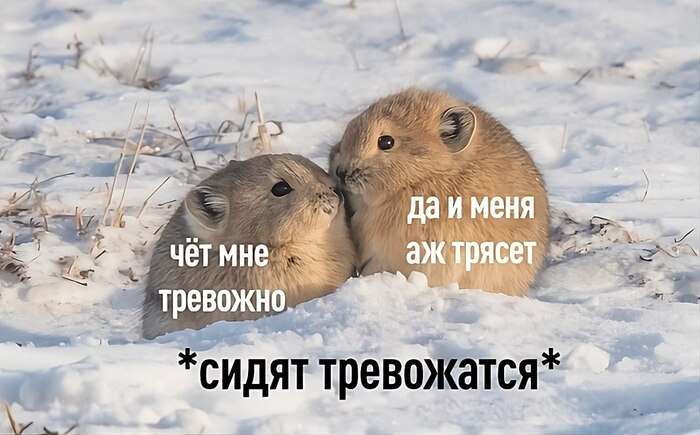 �� ����, ��� ������� �� �������������� � �� �������, ��� ������ �� ����� �������� �� ������