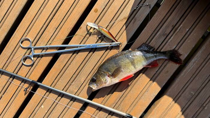 ���������� ��� ������������� �����