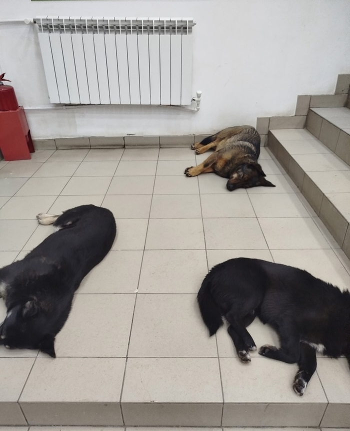 �� �� �������!