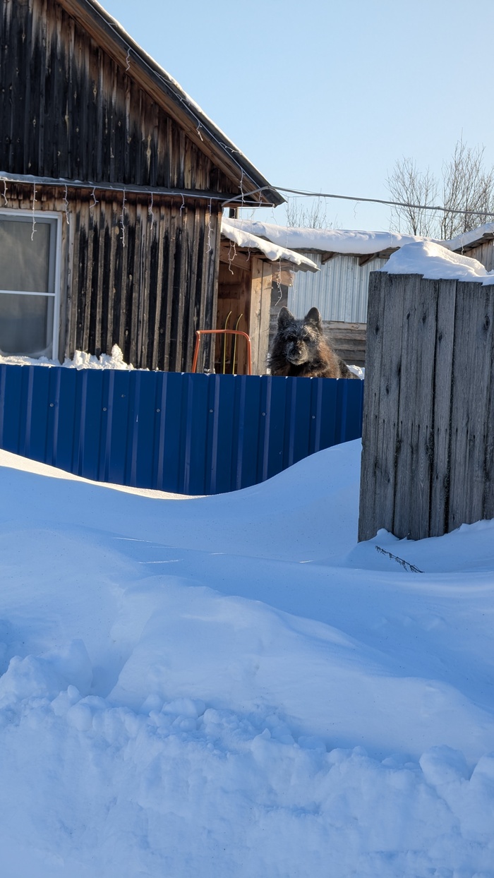 ���������� ������ �� ����