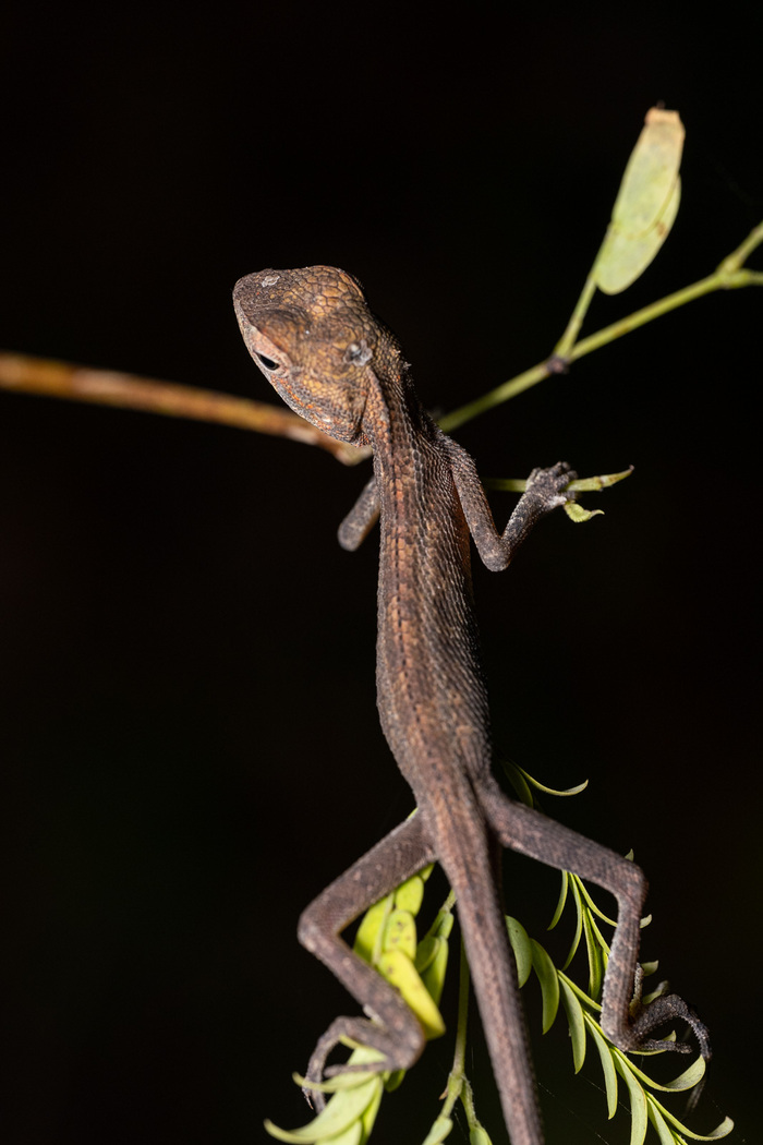 ��� ���� �������