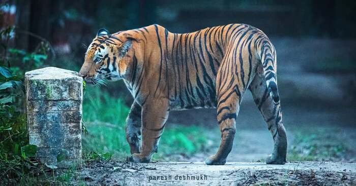 Изучение послания