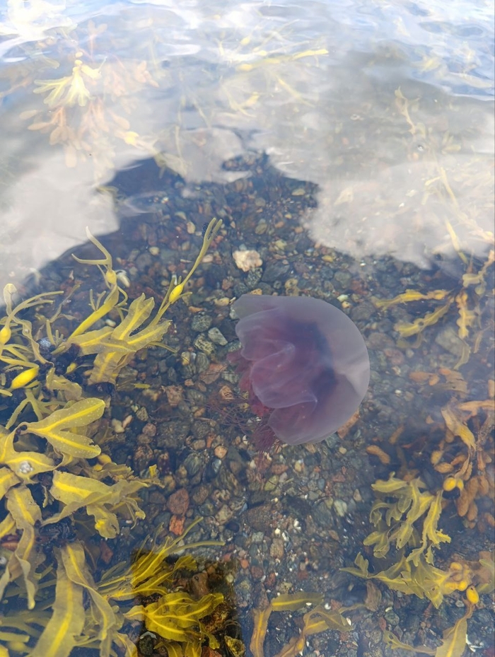 ���� ������������� ������.