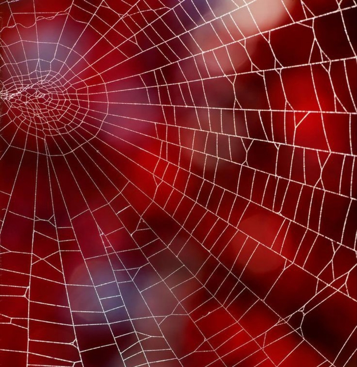 ������� ����