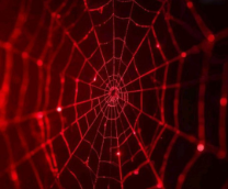 ������� ����