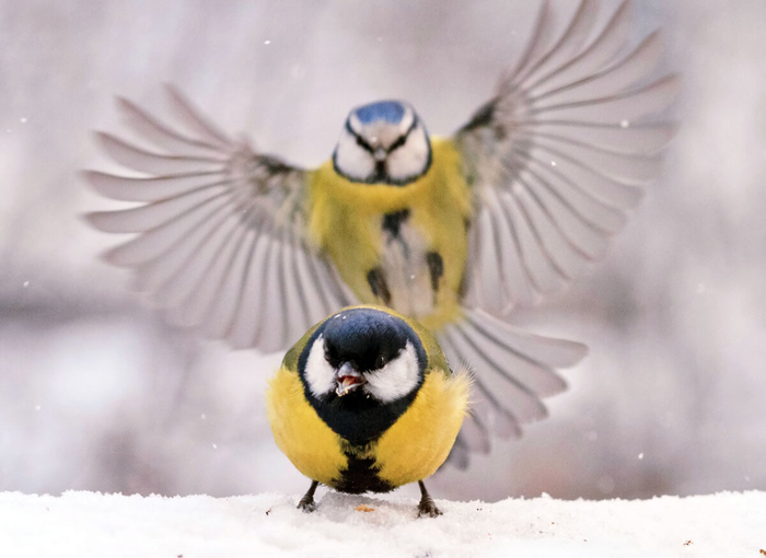 Препятствие на взлетной полосе! Или так и было задумано?