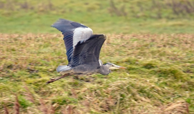 ��������� � ��������������.