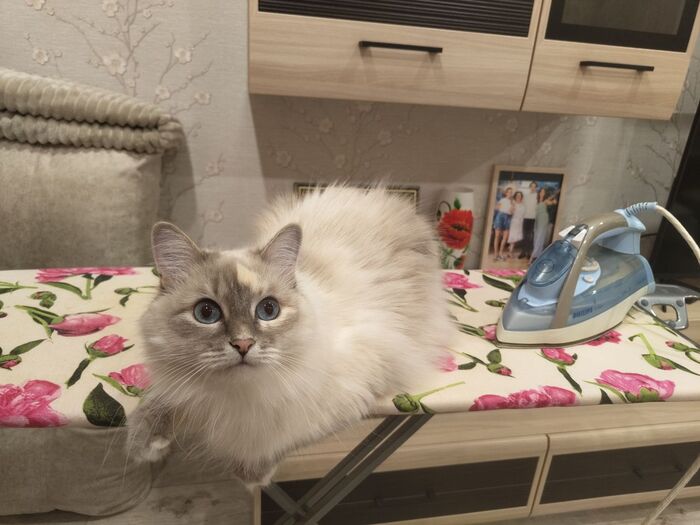 ���� ��������? ����� �����!