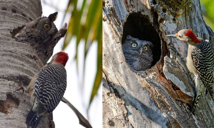 ��� �� �����! ������� ������