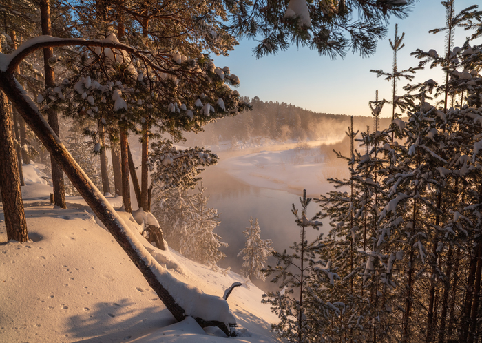 ������ ������� ����