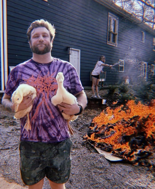 ���� �������, ��������� - ������