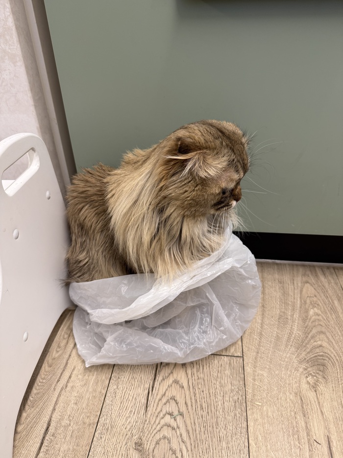 Вам доставка из Котерочки