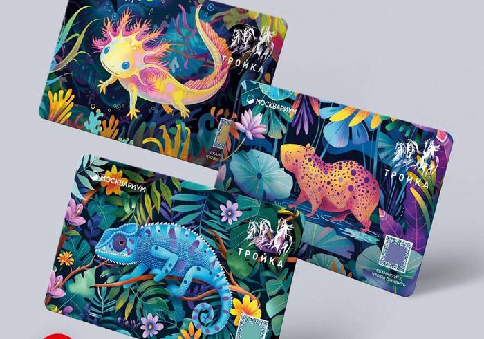 (��������� ���� �� ����: Telegram-����� ���������)