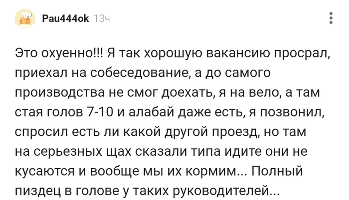 Собеседование и при чём тут собаки!!!