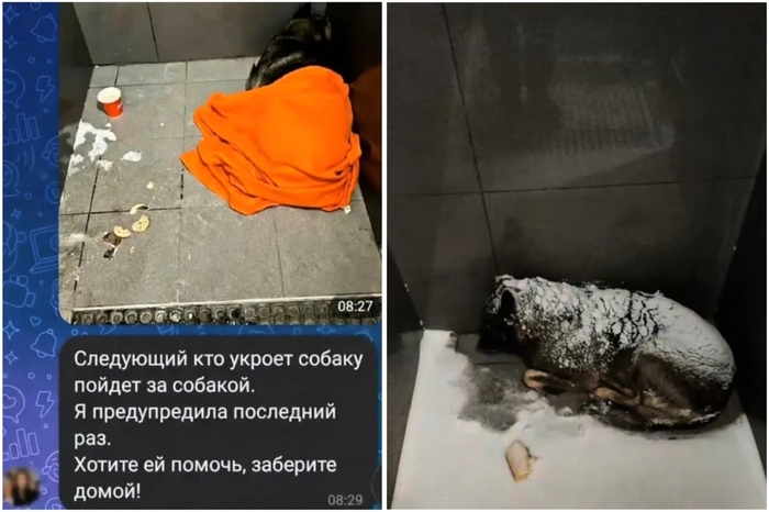 ���������� - ��. ������ �� ������� ����� ��������