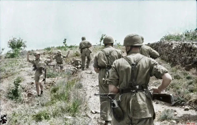 ����������� �������� ����������, ������ �� �������� "������� �������"