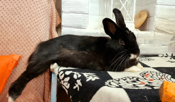 ����, 5.2 ����