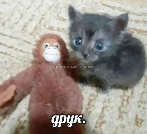 ����� ����� ������� ��� ������� � ������������