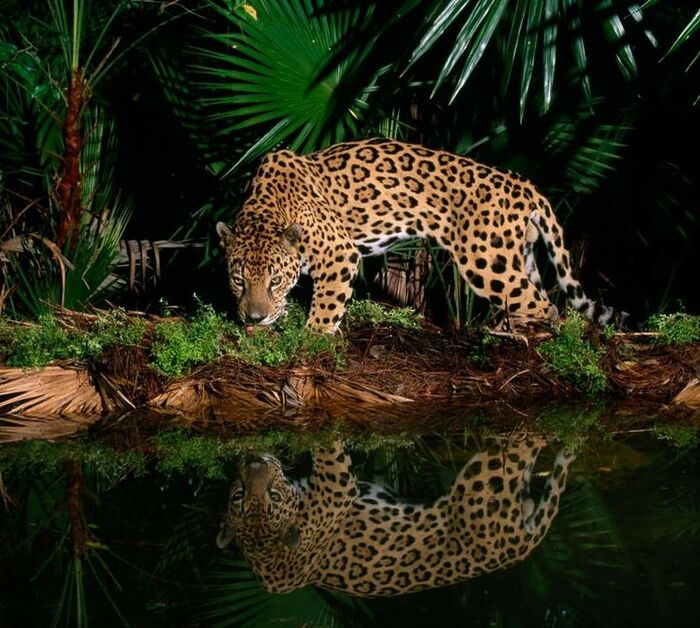 ��������� ���� ����� �������. ��������� ������� � �������������