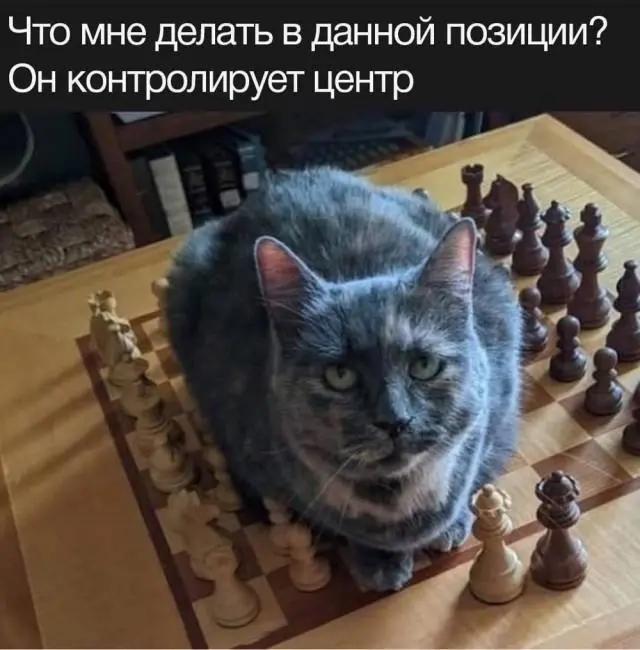 ���� �����, ����