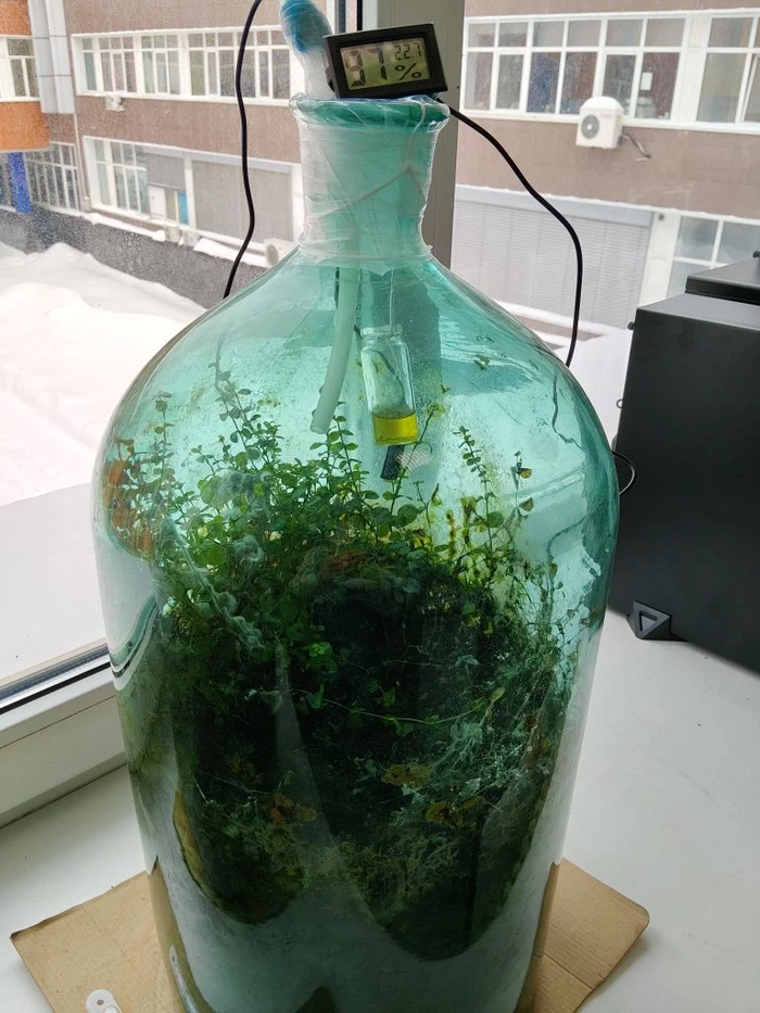 ����� ������ ������� � ������� ����������� ����