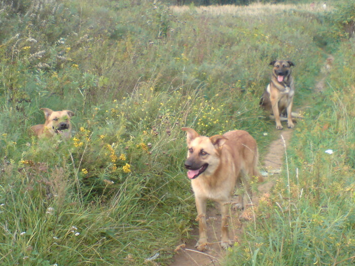 ����� �������� ���������� ��������