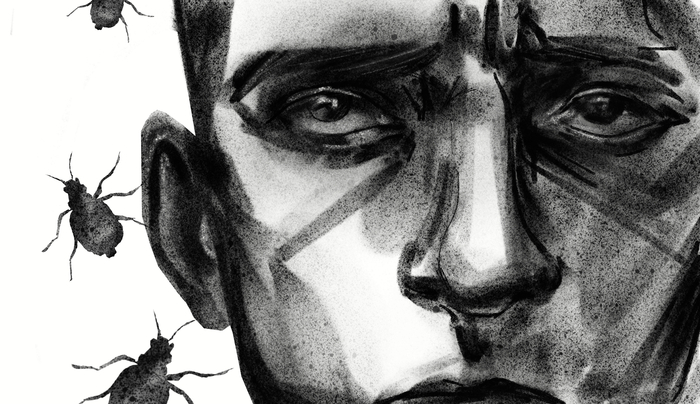 Иллюстрация Екатерины Ковалевской