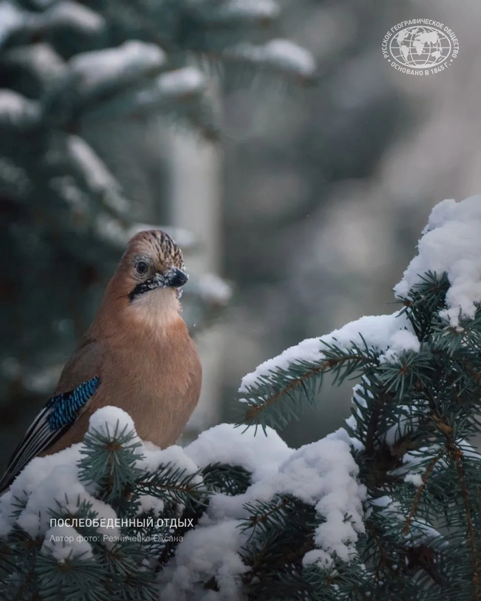 ����: ���������� ������, �������� ������������ ������ �������� ������, <a href="https://pikabu.ru/story/krasavets_13735497?u=https%3A%2F%2Fmax.ru%2Frgo1845%2FAZyI30tjUQU&t=%D0%BE%D1%82%D1%81%D1%8E%D0%B4%D0%B0&h=4eb46914d02d12650b743fdee45268d20b9f516b" title="https://max.ru/rgo1845/AZyI30tjUQU" target="_blank" rel="nofollow noopener">������</a>