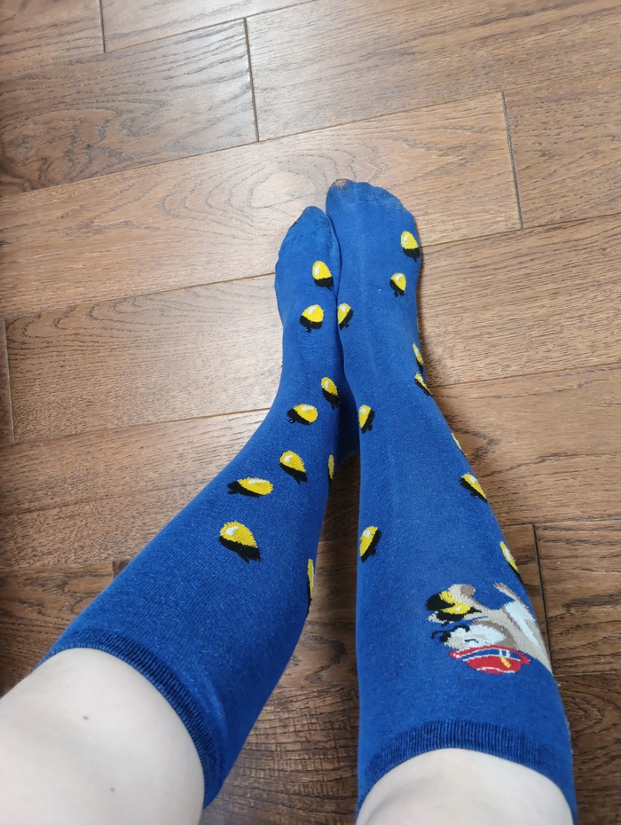 ��� ����