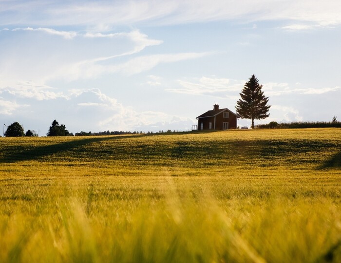 ���� ������������ ��������� ������� �� ������� ��������: ��� ������