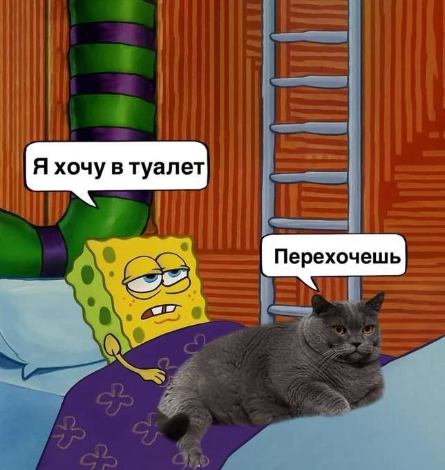 Я лично сдвигаю котю
