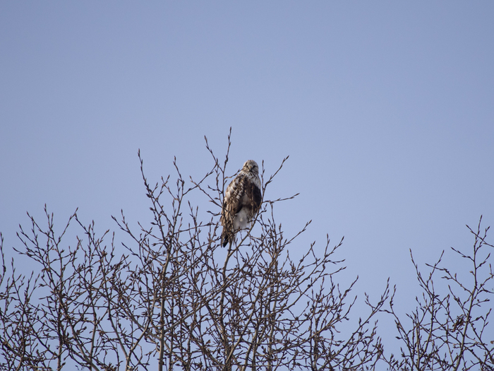 ������ ���������� 👀