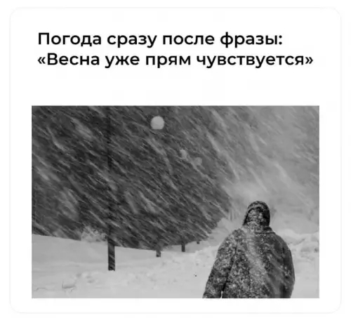 *�������� �����*