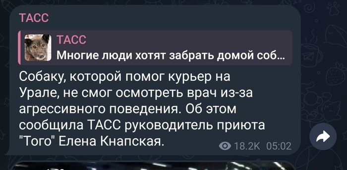 Какой врач агрессивный попался.