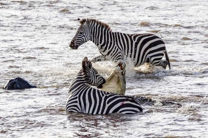 ��� �� ���, ��� �� ���.