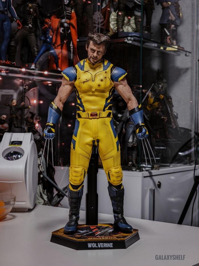 ������� ��������