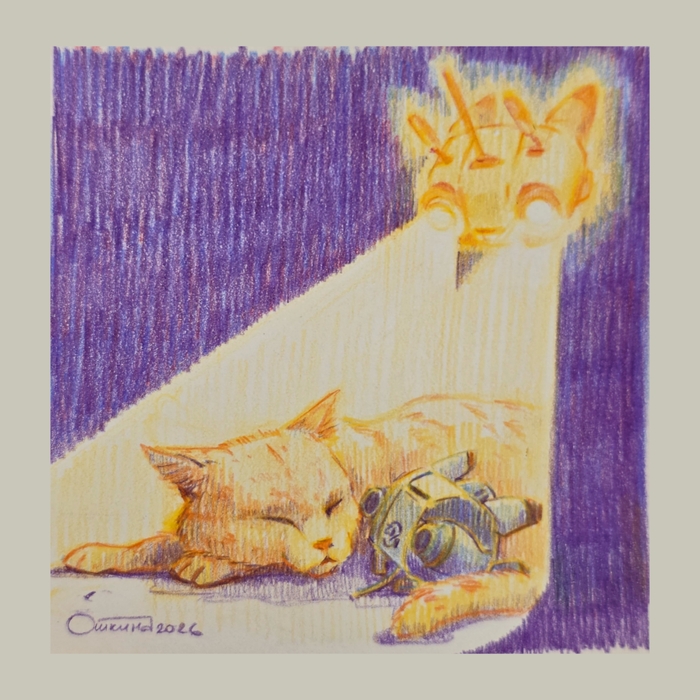 Прошла я, значит, Stray...