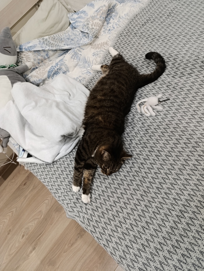 � ���� ������-������ �������: �������� ���� � ��������!