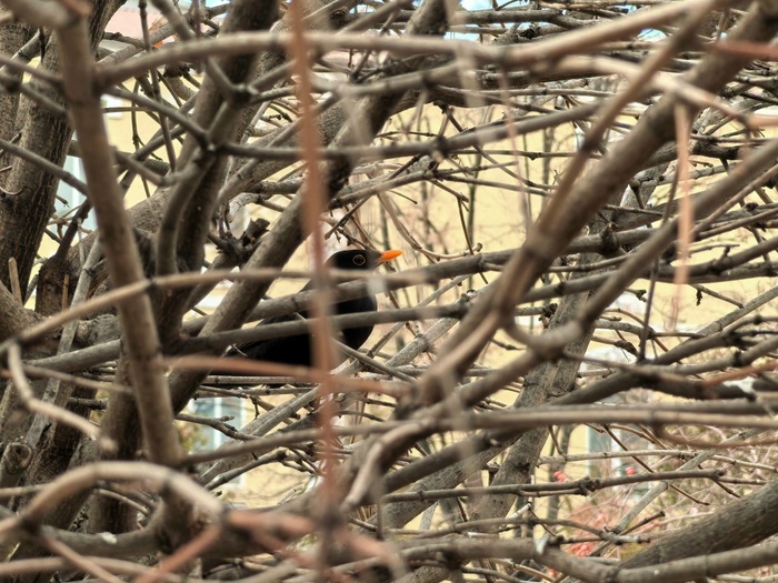 ���� ������ ����������, �� ��� ������ �����.