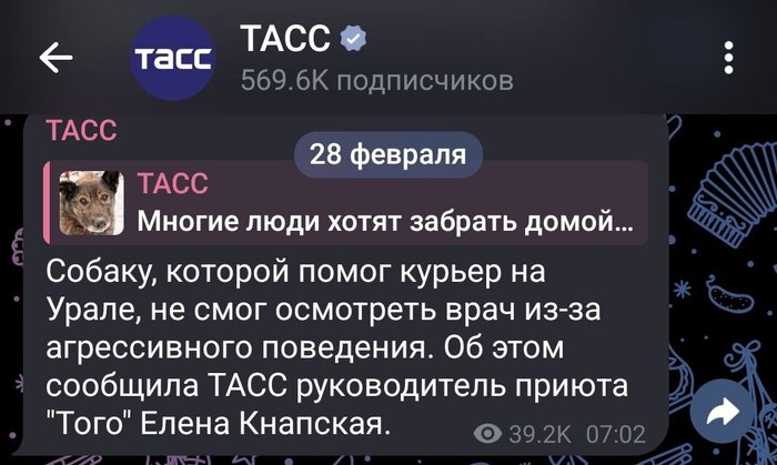 ������������ ������