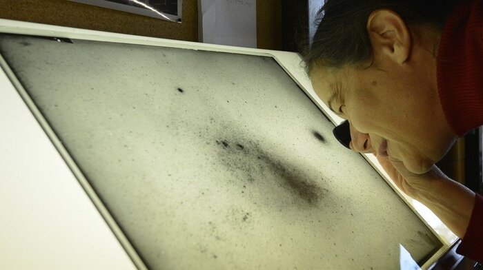 C����� ������ ����������� ������, ��������� �� 24-�������� ���������