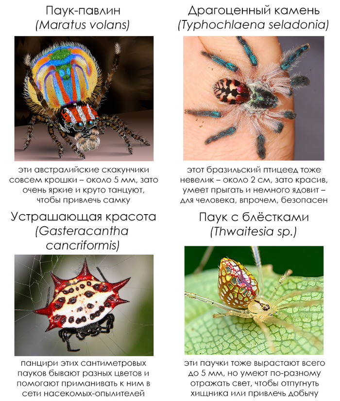 Школьные факты #79