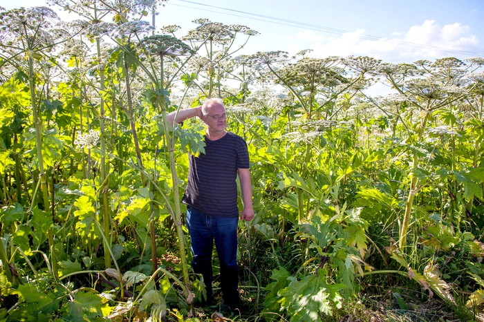 ����: ������� �����������