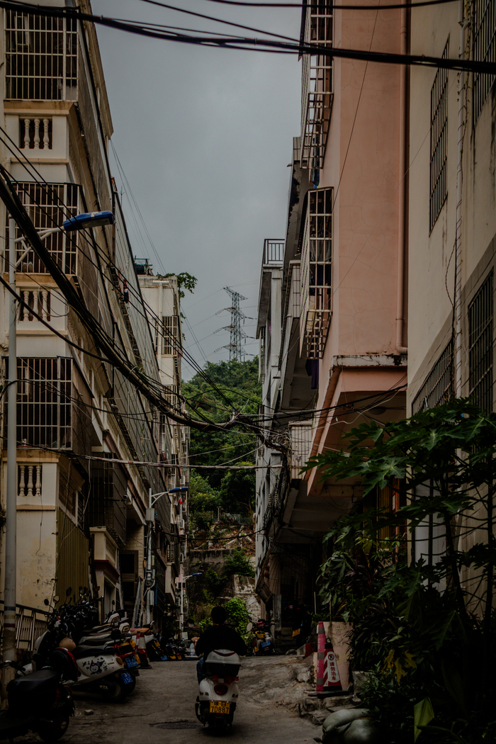 �����, �����