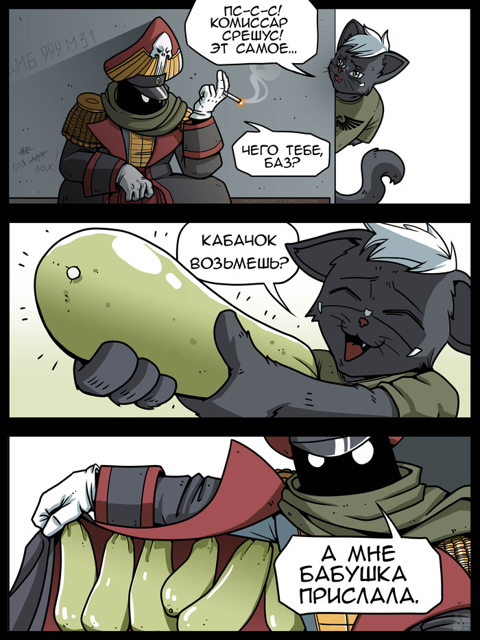 ���� ����