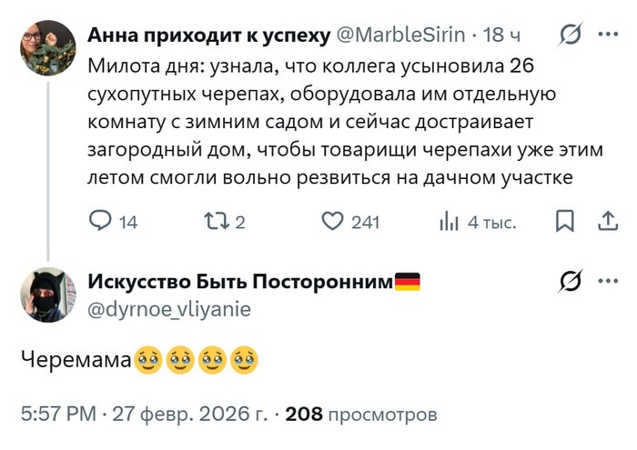 �� ������ �����