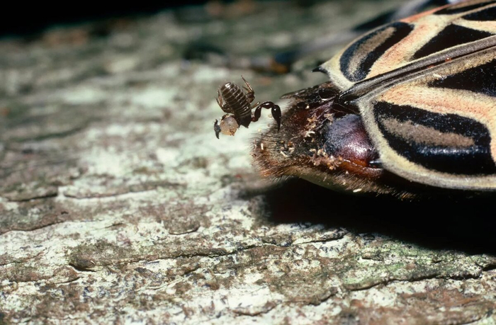 ������, ����� ������� ����, � ��� �����!