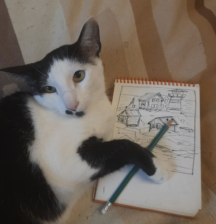 ��������, �������, ������ ������: 14 � 16 ��