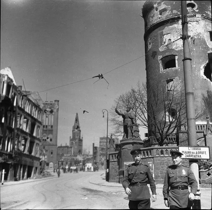 ʸ��������, 1945 �.